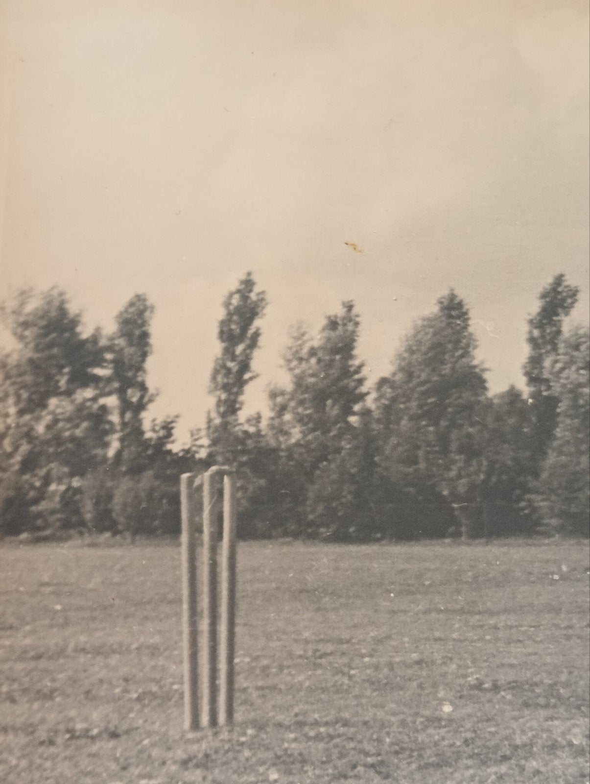 Oude Cricket foto jaren 40-50, Ophalen of Verzenden, 1940 tot 1960, Gebruikt
