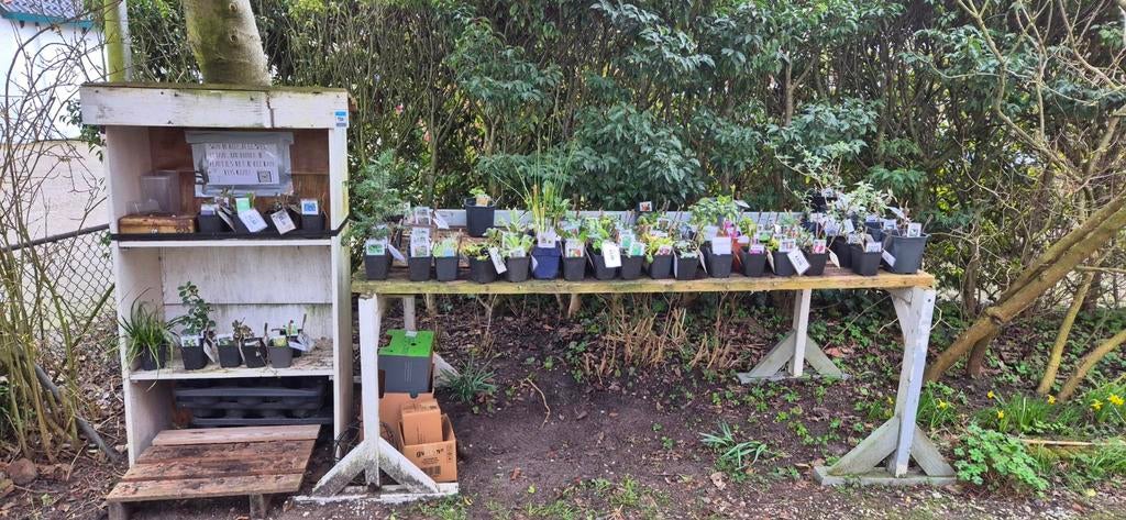 Biologische opgekweekte tuinplanten, Ophalen