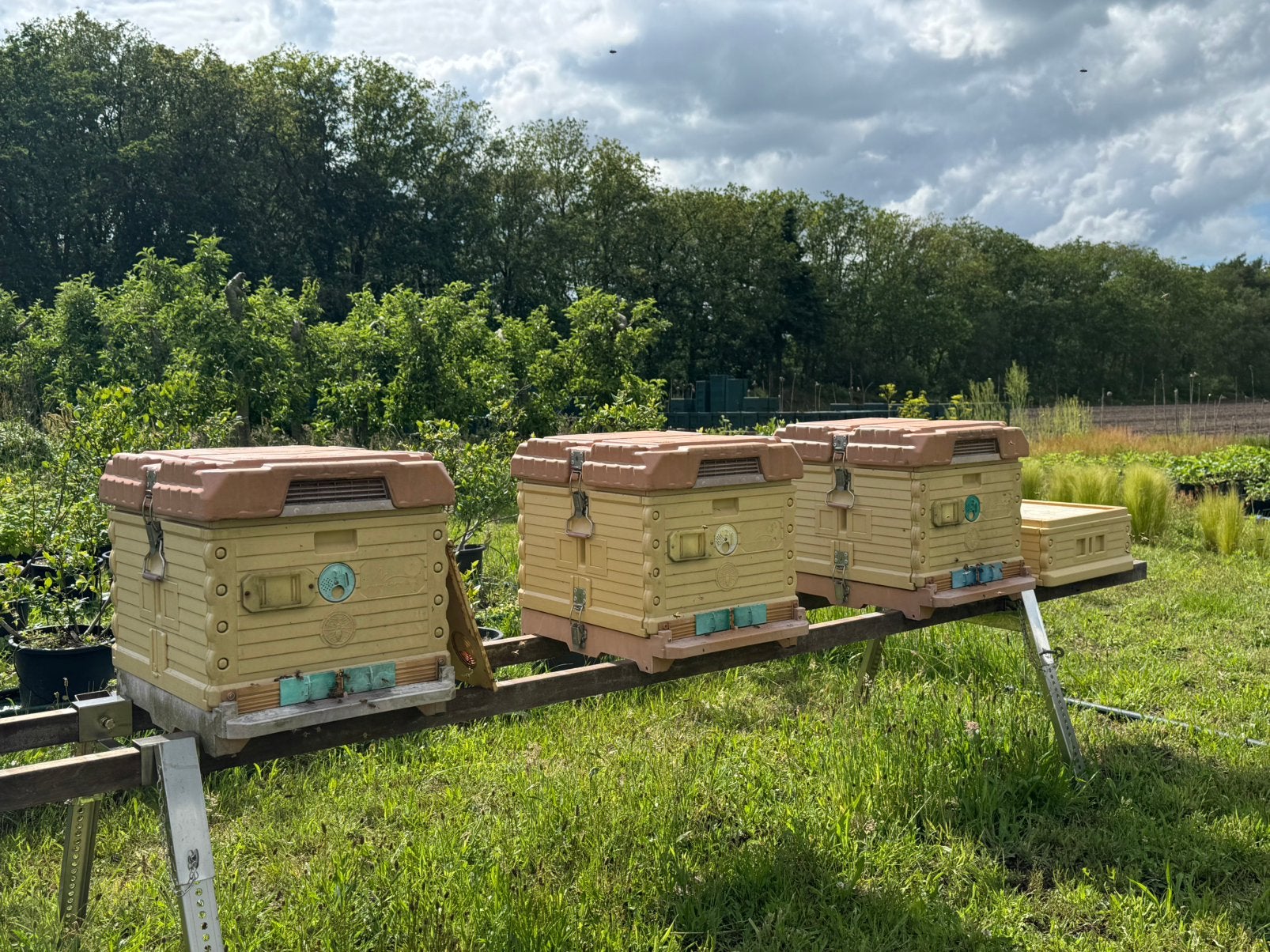 3x Bijenkast - Apimaye, Dieren en Toebehoren, Bijen