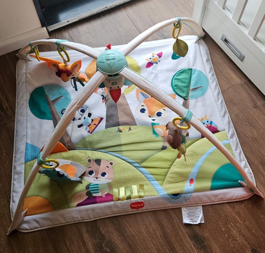 Tiny Love babygym, Ophalen, Gebruikt, Babygym, Met licht
