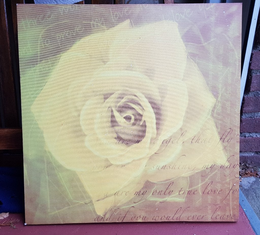 Roos op linnen doek, Antiek en Kunst, Kunst | Schilderijen | Klassiek, Ophalen, Realistisch, Bloemen, Doek