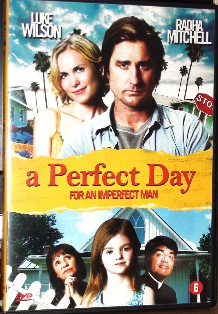 dvd a perfect day, Cd's en Dvd's, Vanaf 16 jaar, Ophalen of Verzenden, Zo goed als nieuw, Actiekomedie
