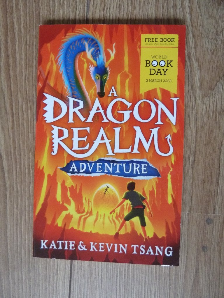 ENGELS boekje  - a dragon realm, Ophalen, Gelezen