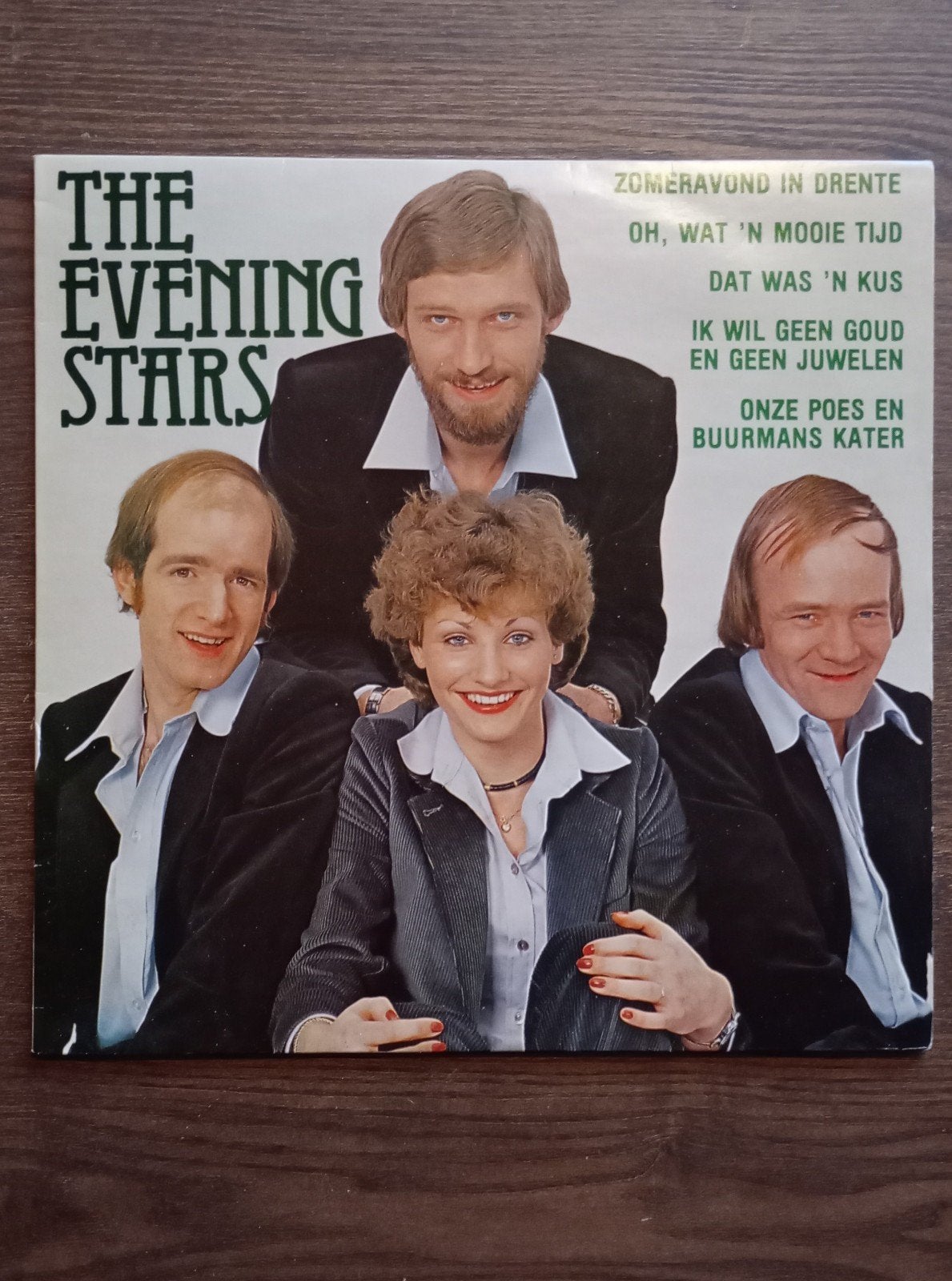 The Evening Stars - The Evening Stars lp (piraat), Cd's en Dvd's, Vinyl | Nederlandstalig, LP, Gebruikt, Verzenden, Levenslied of Smartlap