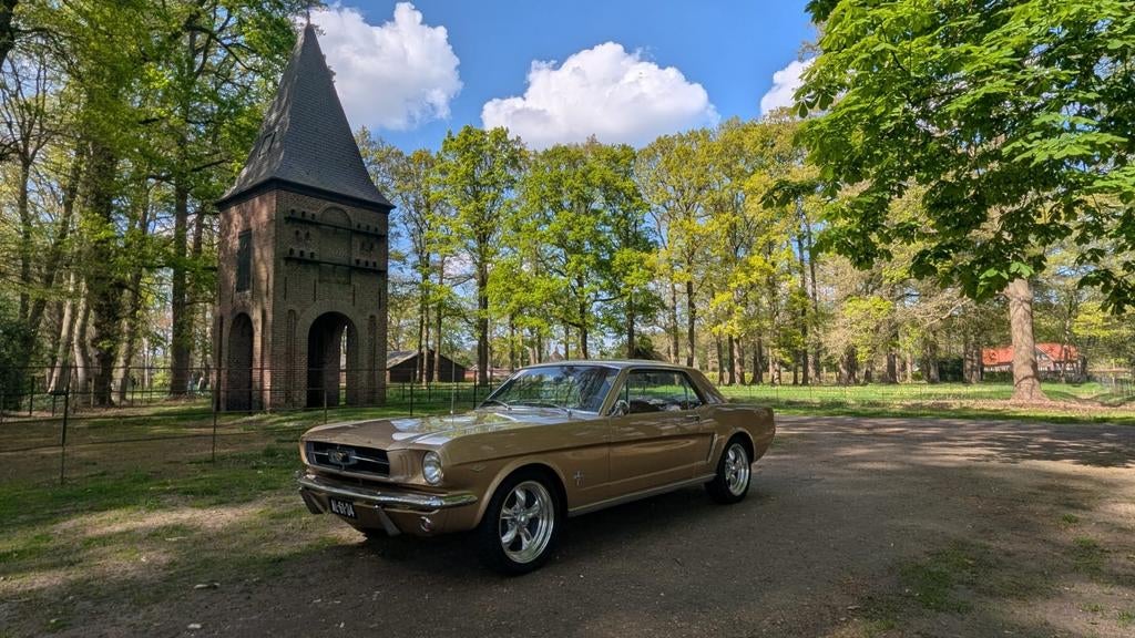 Mustang, te huur voor gala of op uitzondering een trouwerij