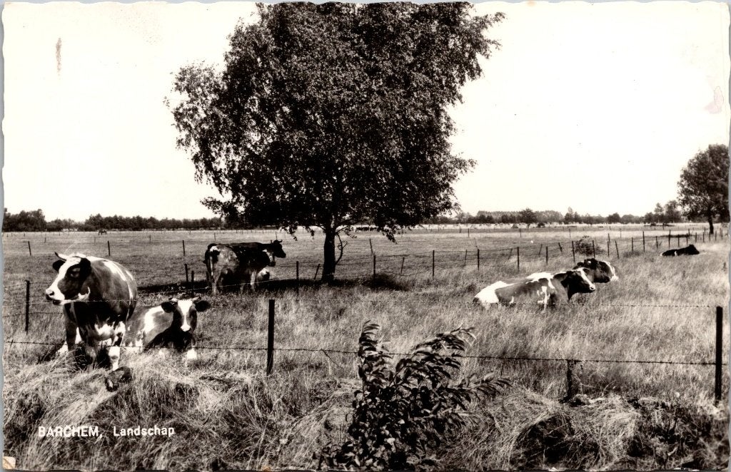 Barchem - 11 ansichtkaarten, Verzamelen, Ansichtkaarten | Nederland, Gelopen, Gelderland, 1960 tot 1980, Verzenden