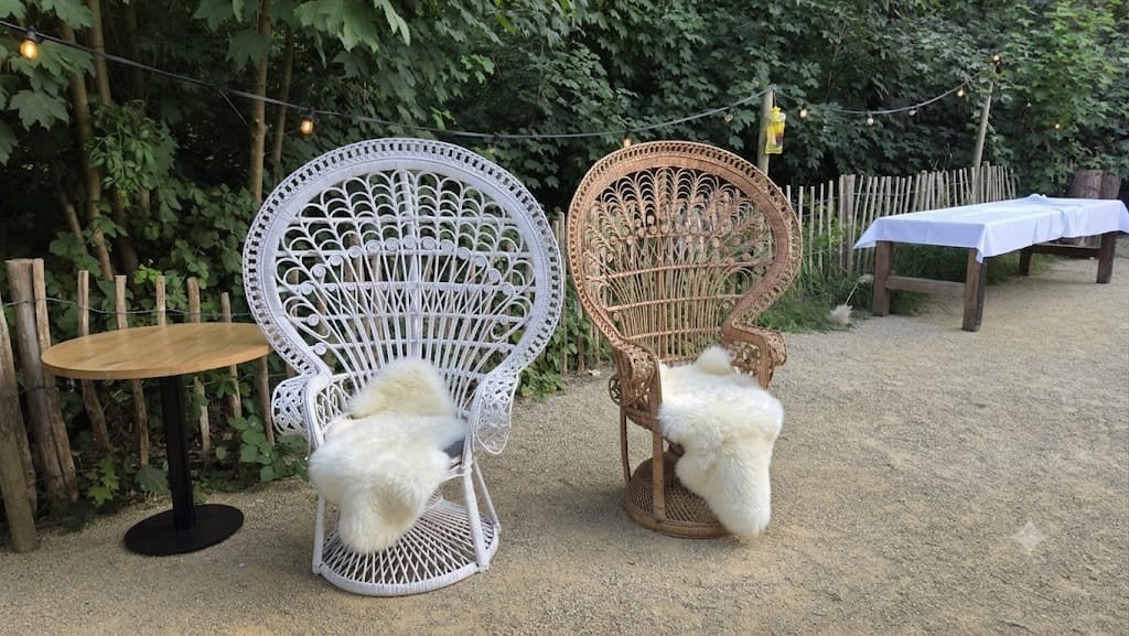 Mooie rotan pauwenstoelen te koop of te huur, Ophalen, Gebruikt, Twee, Wit