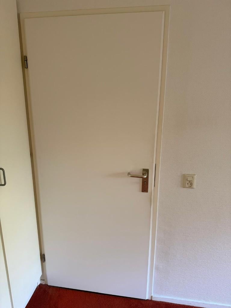 binnendeuren, Doe-het-zelf en Verbouw, Deuren en Horren, Ophalen, Gebruikt, Binnendeur, Glas