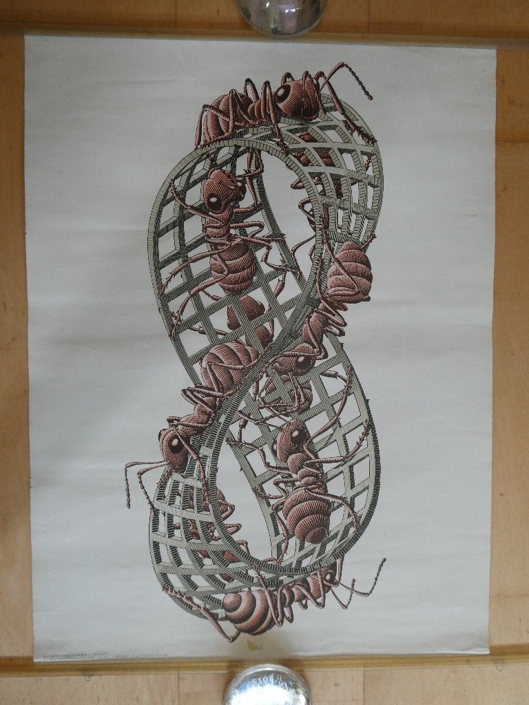 M. C. Escher, Möbius II, poster 1970, Rechthoekig Staand, Ophalen of Verzenden, Zo goed als nieuw, A1 t/m A3
