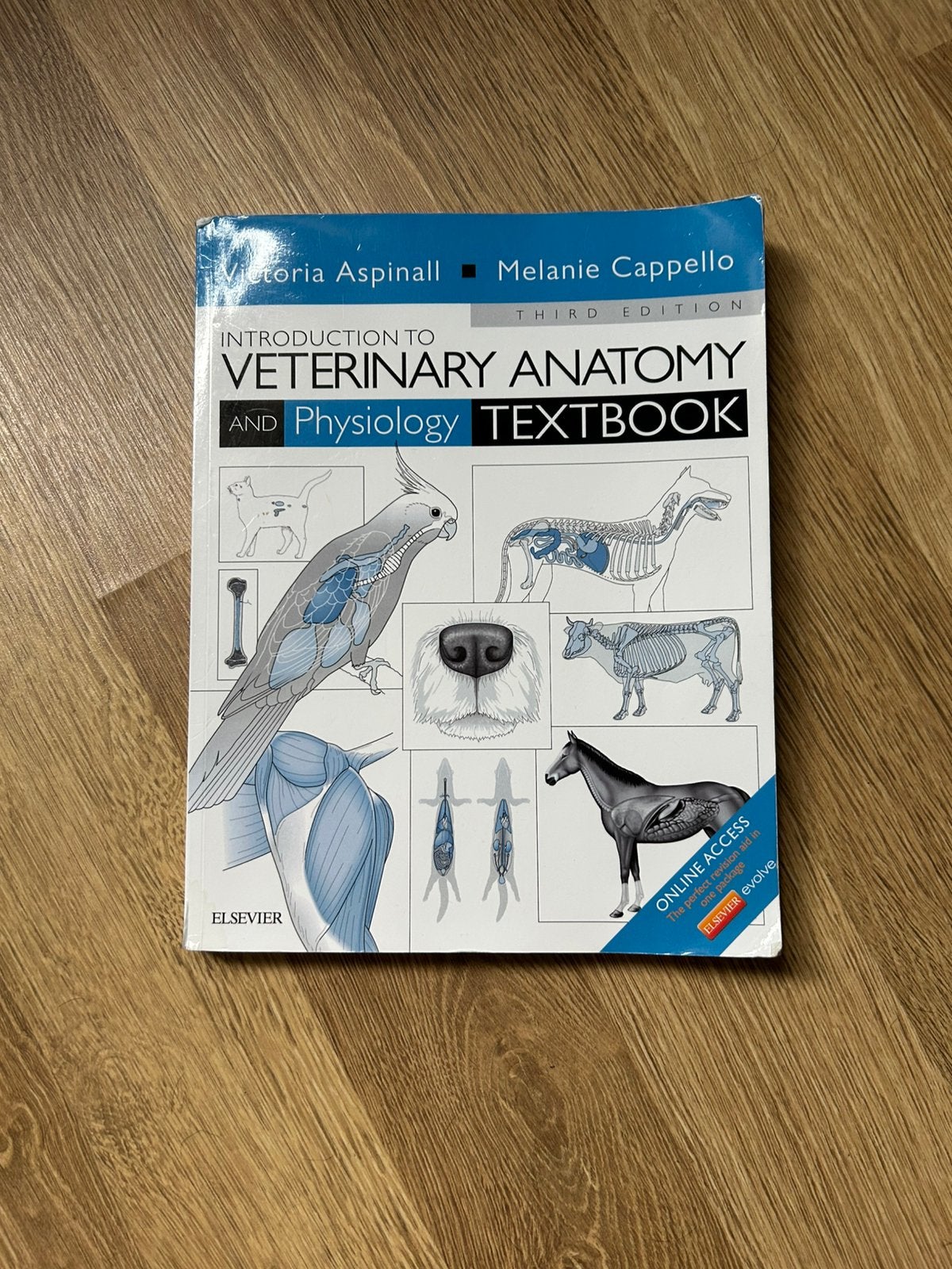 Introduction to veterinary anatomy and physiology textbook, Ophalen of Verzenden, Beta, Zo goed als nieuw, WO