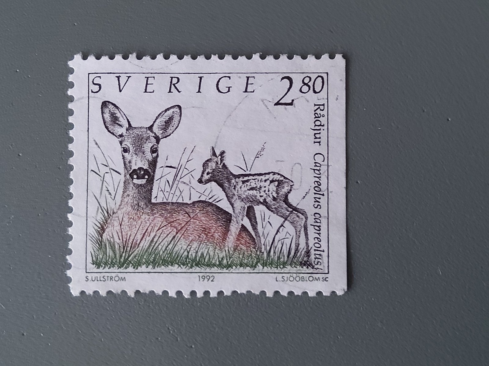 Zweedse postzegel 1992 - Reekalf en moeder, Ophalen of Verzenden, Gestempeld
