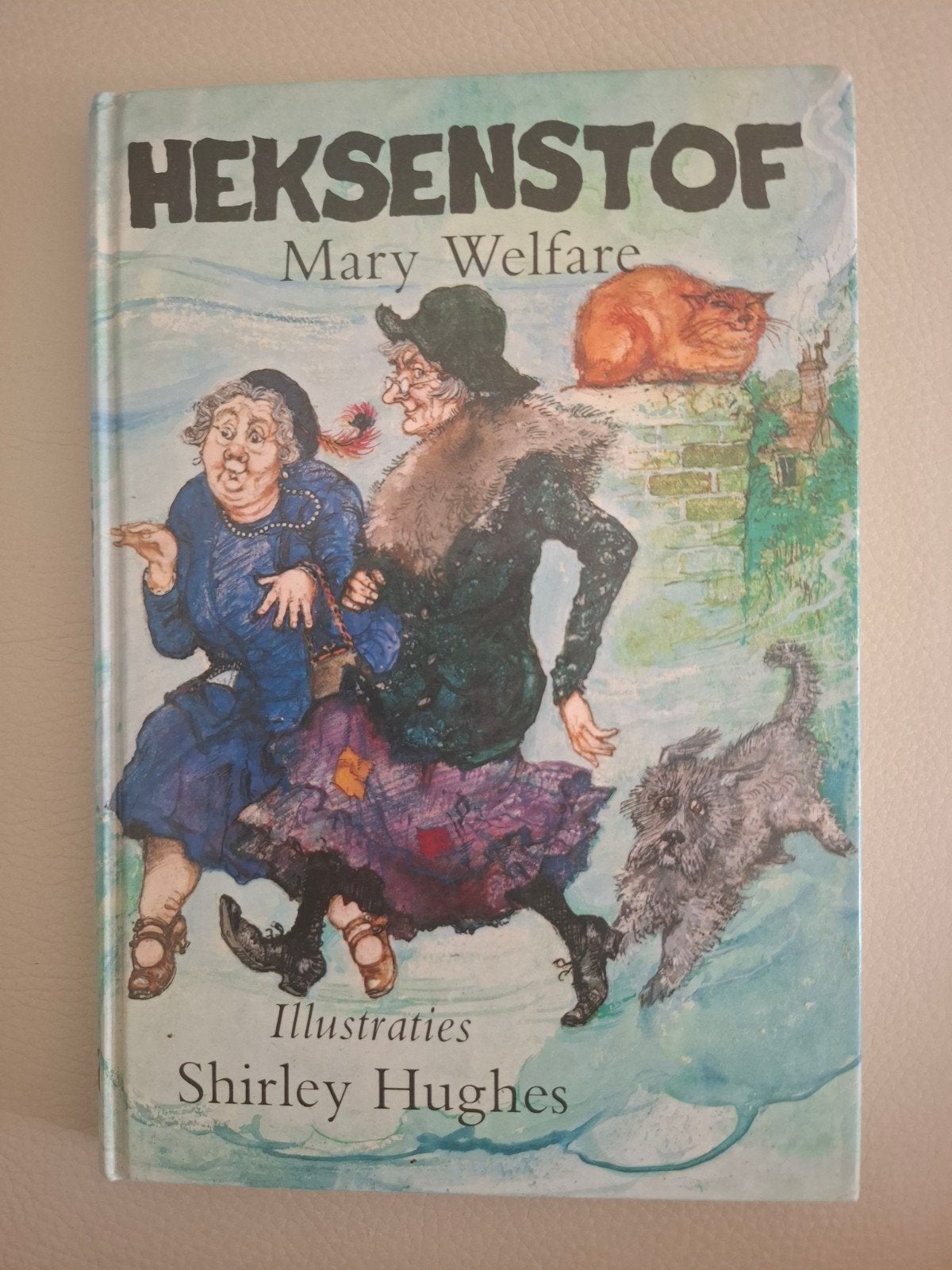 Boek: heksenstof Mary welfare, Ophalen of Verzenden, Zo goed als nieuw, Mary welfare
