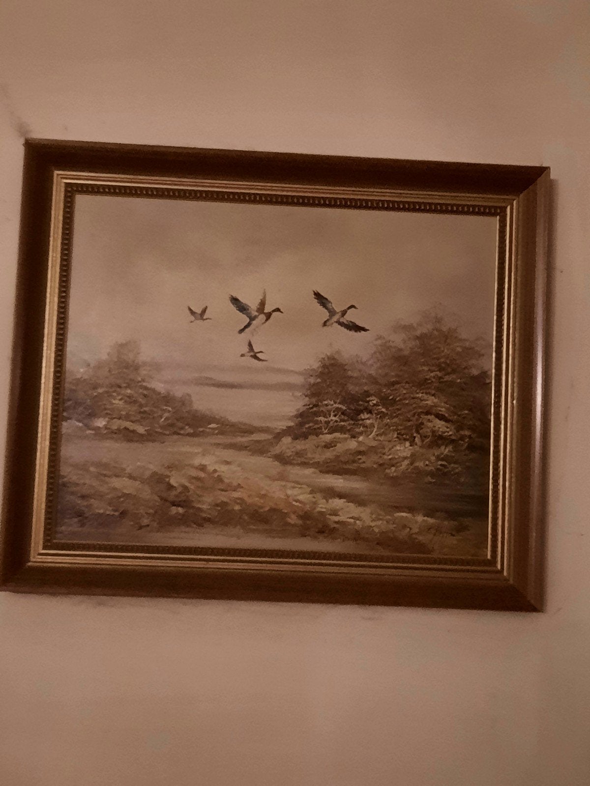 Schilderij met vliegende vogels in landschap, Ophalen, Doek, Realistisch, Dieren