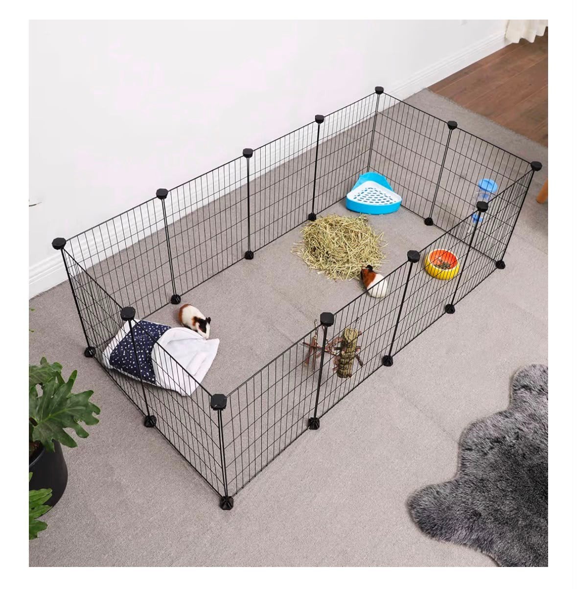 cavia kooi met toebehoren, Dieren en Toebehoren, Ophalen, Gebruikt, 110 cm of meer, Minder dan 65 cm