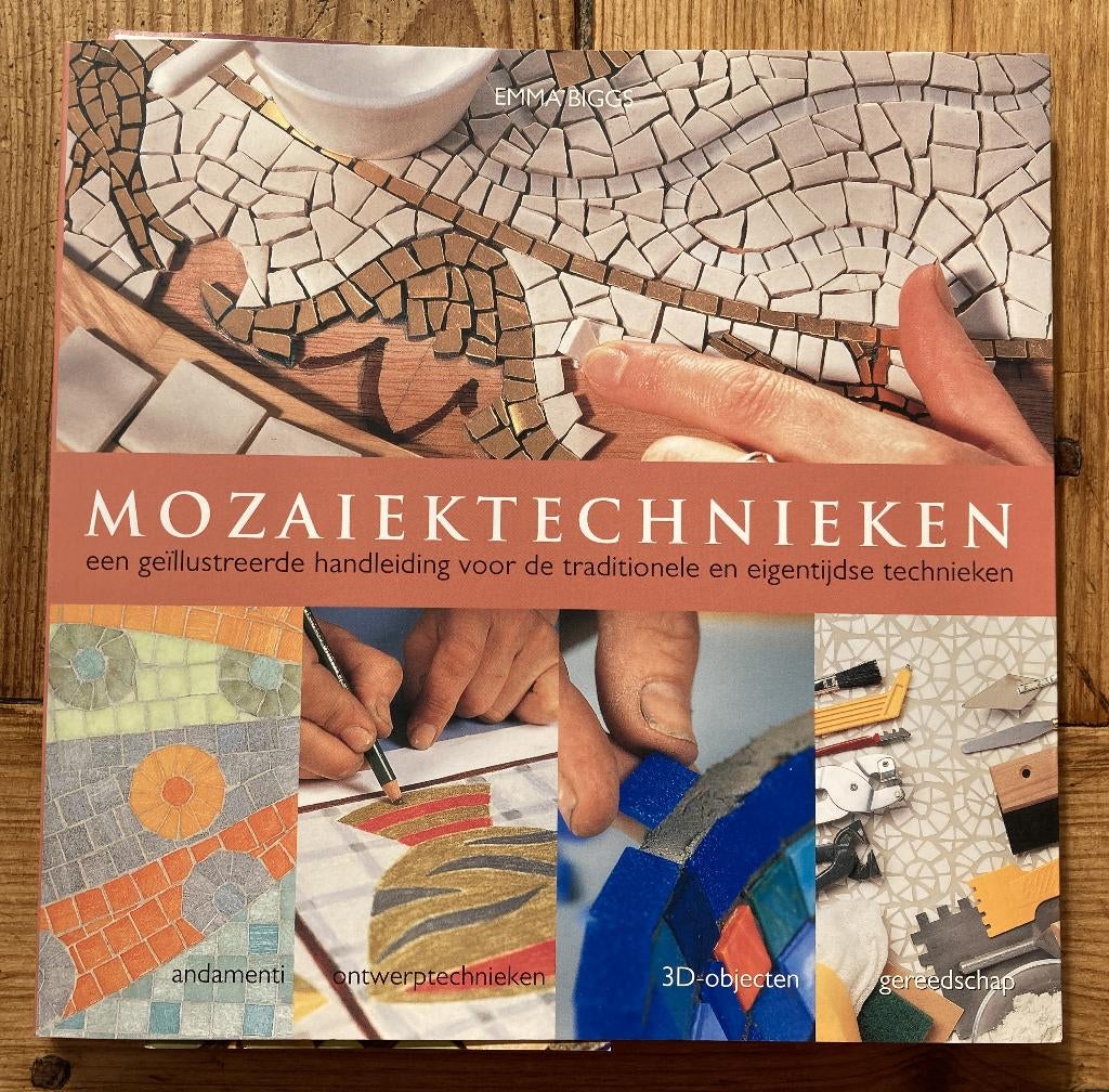 Boek Mozaïektechnieken - Emma Biggs, Ophalen of Verzenden, Nieuw, Overige onderwerpen, Emma Biggs