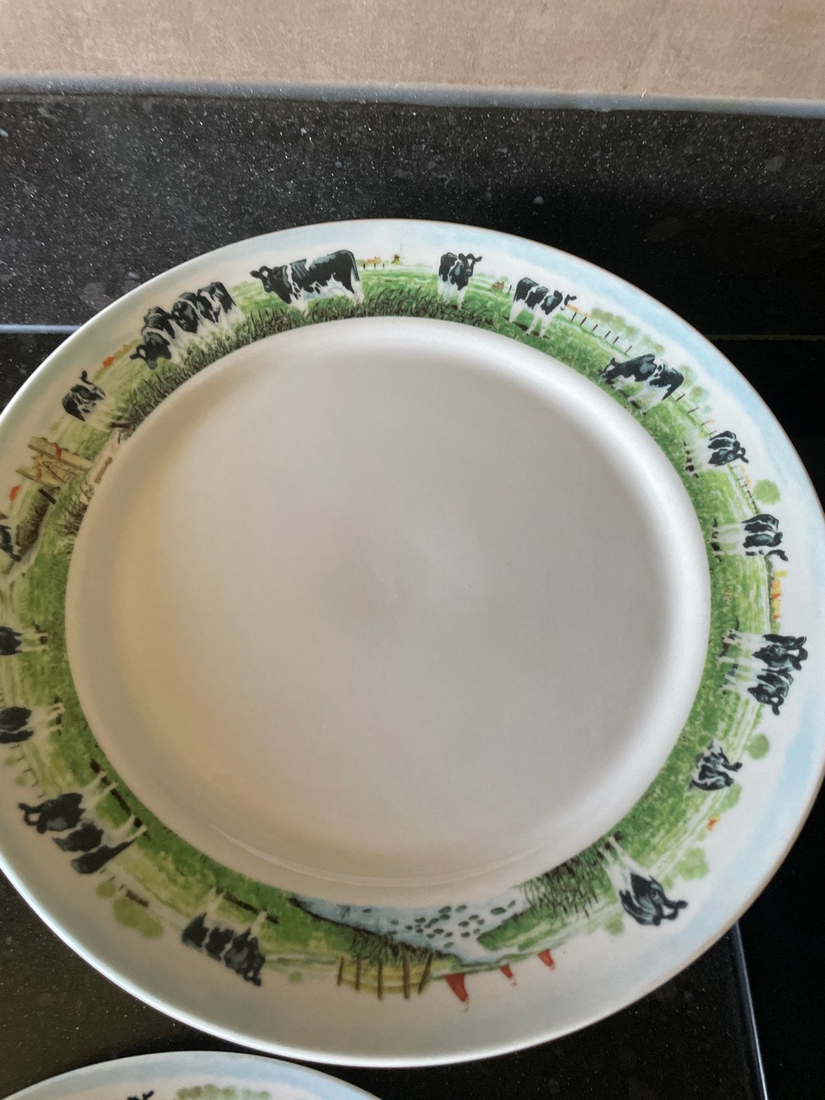 9 dinerborden Wiebe van der Zee - Landelijk leven, Ophalen, Gebruikt, Overige merken, Keramiek