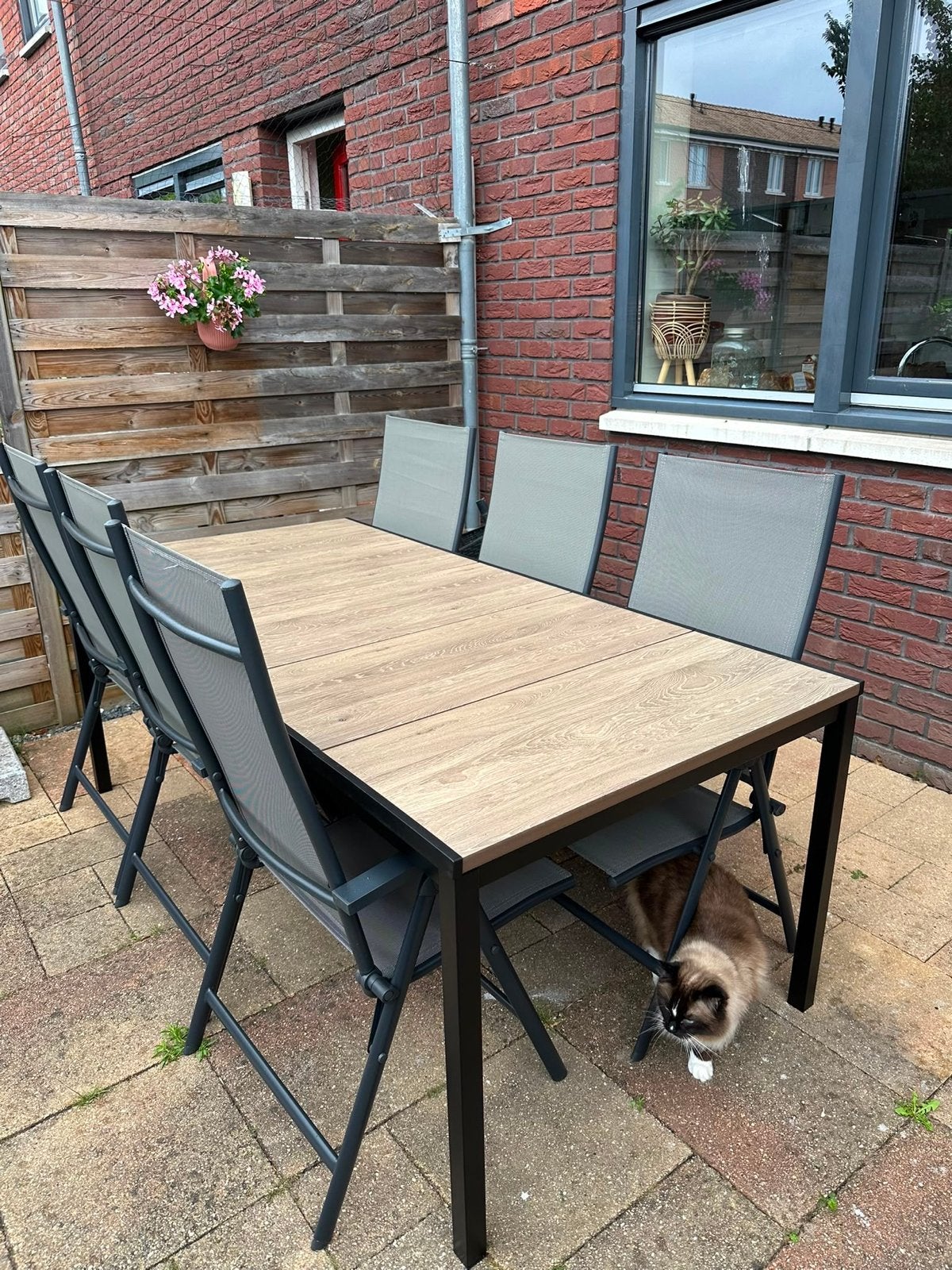 Ashwood look tuintafel - Zo goed als nieuw, Tuin en Terras, Ophalen, Zo goed als nieuw, Rechthoekig, Kunststof