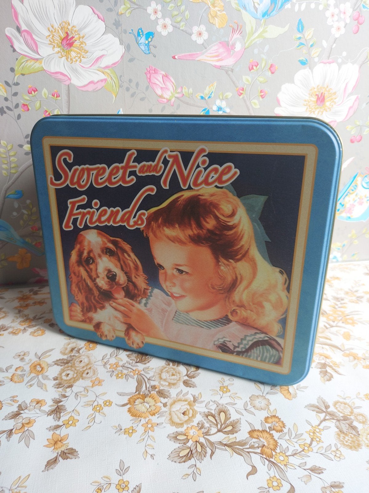 Vintage koekblik, Ophalen of Verzenden, Gebruikt, Koek(jes), Overige merken