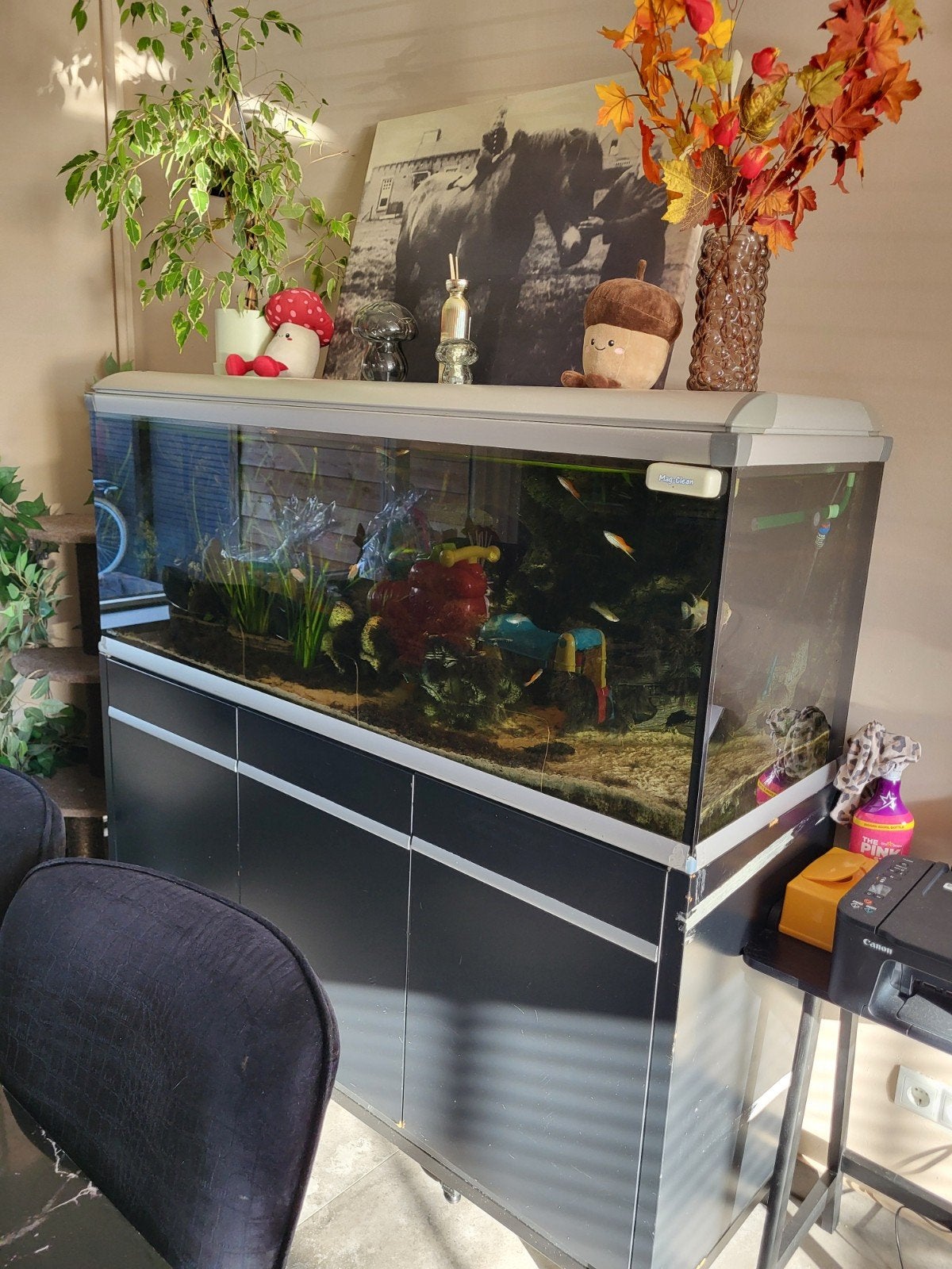 aquarium 500 liter, Ophalen of Verzenden, Inclusief deksel, Zo goed als nieuw, Eheim