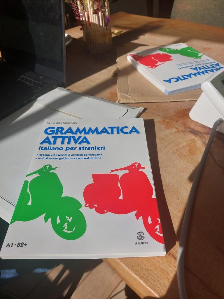 Grammatica Attiva: Italiaans leren voor beginners (A1-B2+), Non-fictie, Nieuw, Ophalen of Verzenden, Italiaans