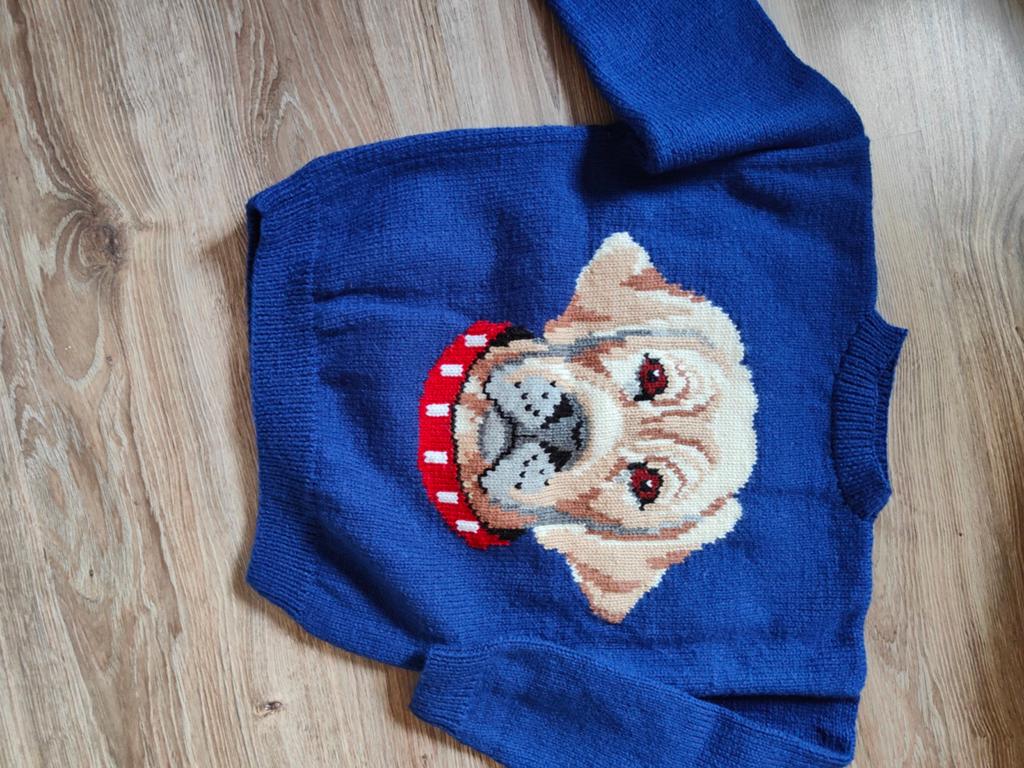Hand gebreide nieuwe kindertruitjes, Ophalen of Verzenden, Nieuw, Jongen of Meisje