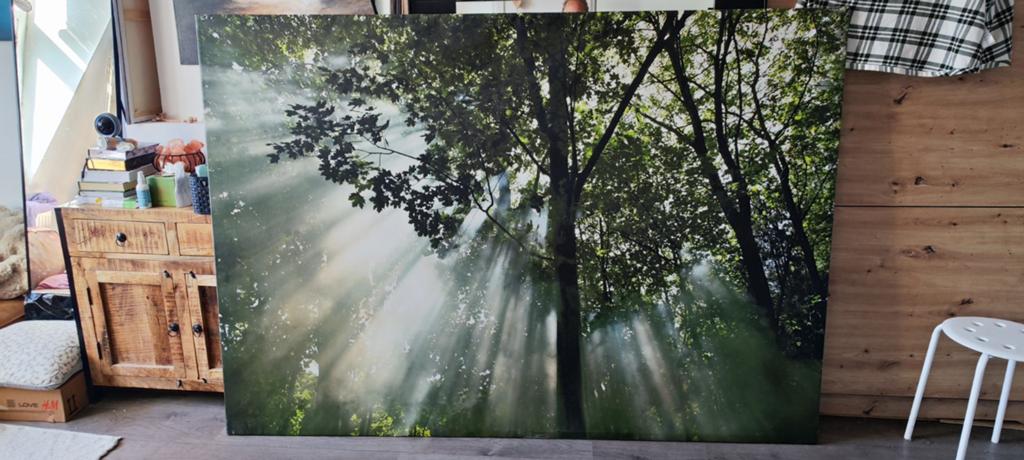 Canvas 200x140, Ophalen, Hout, 200 cm of meer