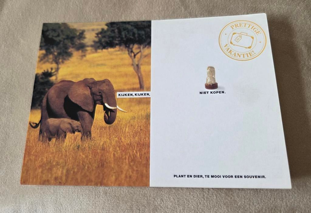Olifant - WWF - educatieve kaart, Verzenden, 1980 tot heden, Ongelopen, Wild dier