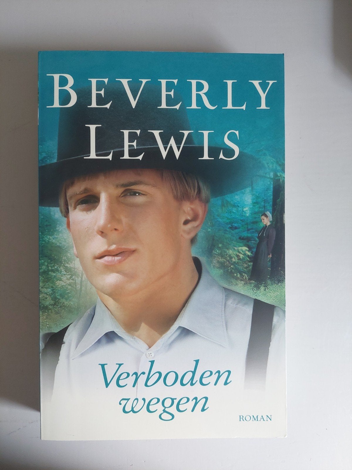 Beverly Lewis - Verboden wegen (Roman), Ophalen of Verzenden, Gelezen, Beverly Lewis, Nederland