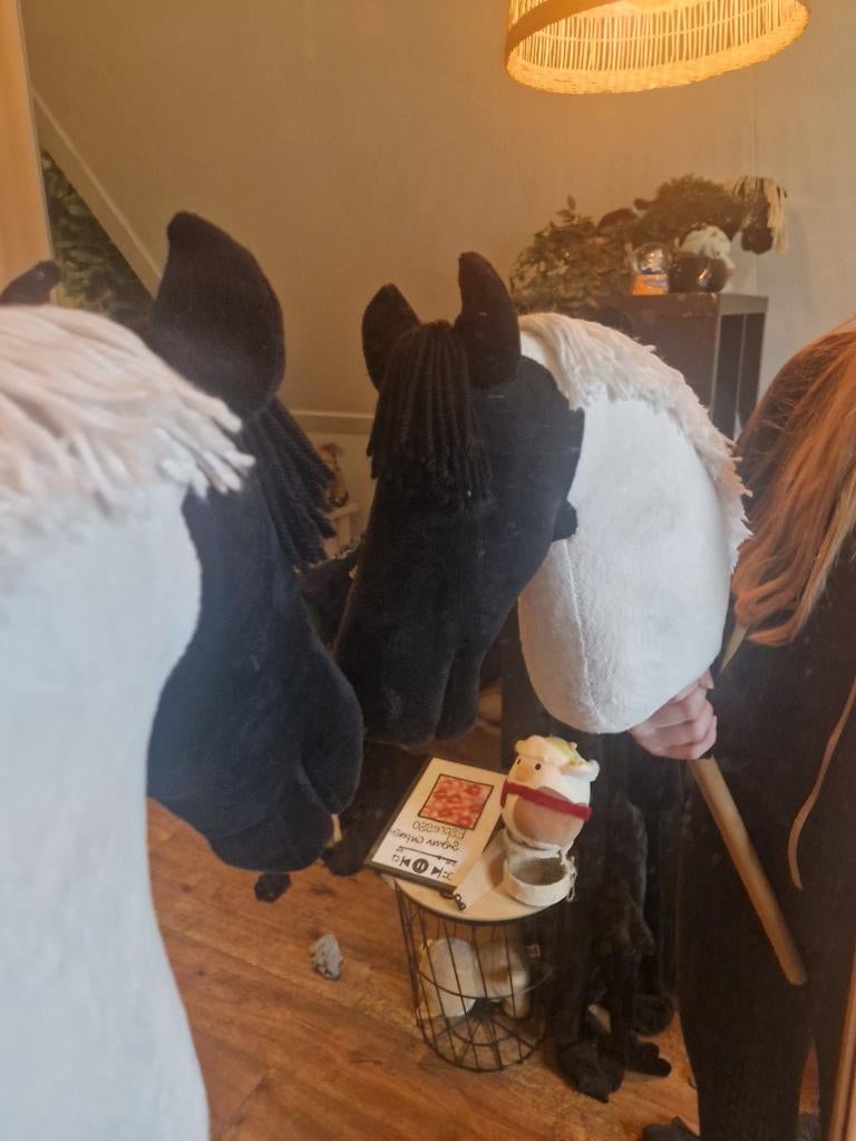 Mooie Hobby Horses in alle verschillende soorten, Boeken, Ophalen of Verzenden, Zo goed als nieuw, Overige onderwerpen
