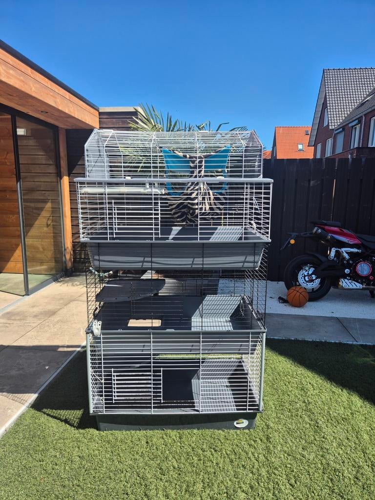 Fretten / Ratten hok, Ophalen of Verzenden
