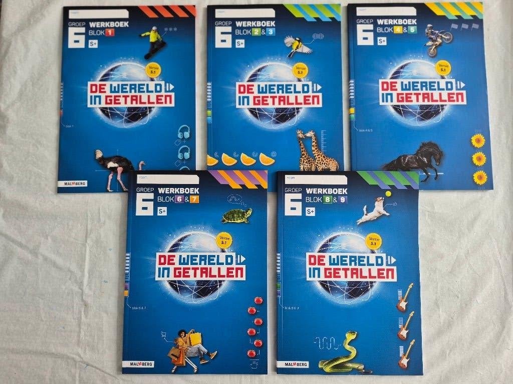 De Wereld in Getallen versie 5.1 werkboeken – Groep 6 / 6S, Boeken, Ophalen of Verzenden, Nieuw, Overige niveaus, Overige vakken