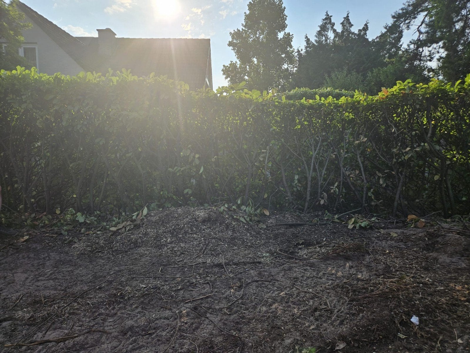 Gratis grond/zwarte grond, ca. 28 m3, Tuin en Terras, Ophalen