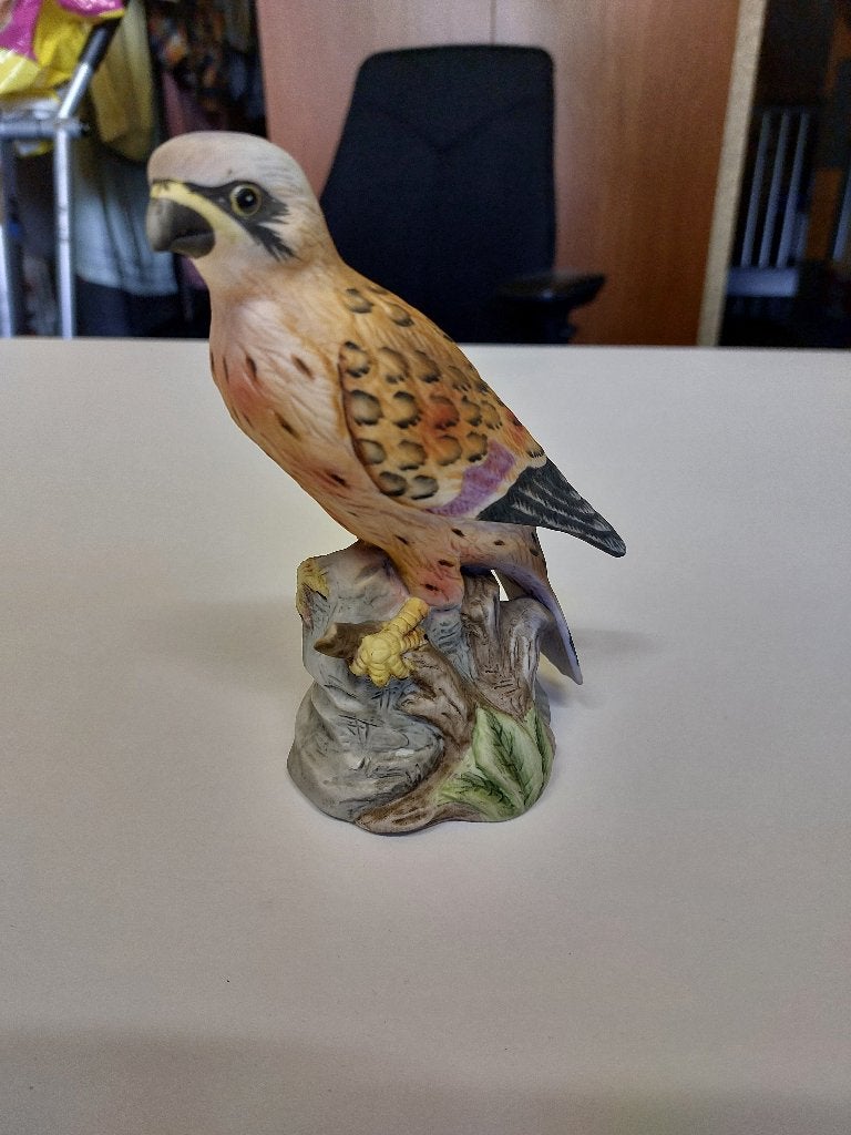 Beeld van Valkje, Ophalen of Verzenden, Zo goed als nieuw, Dier