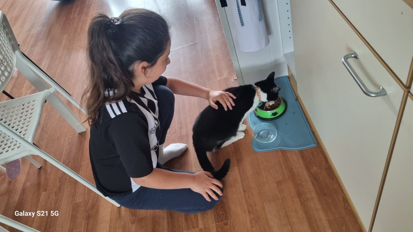 Katten oppas, Ophalen of Verzenden