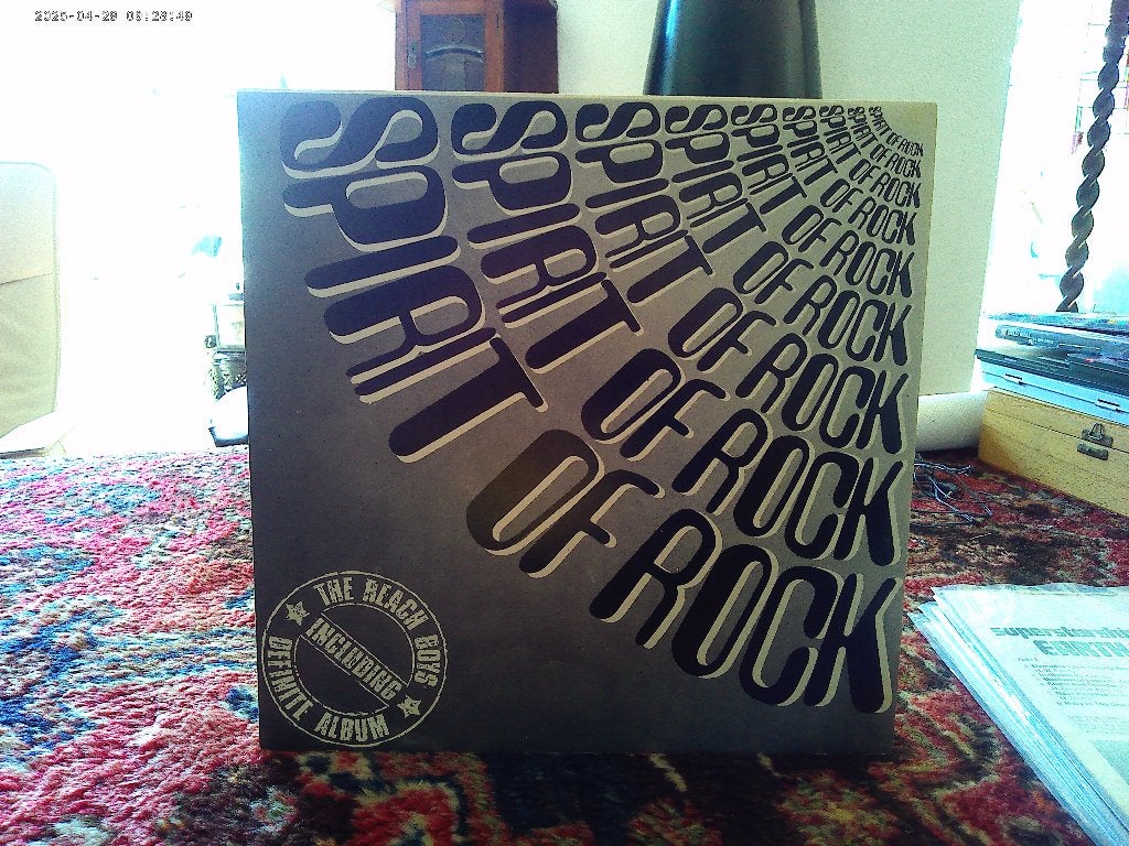 THE BEACH BOYS, Cd's en Dvd's, Ophalen of Verzenden, Zo goed als nieuw