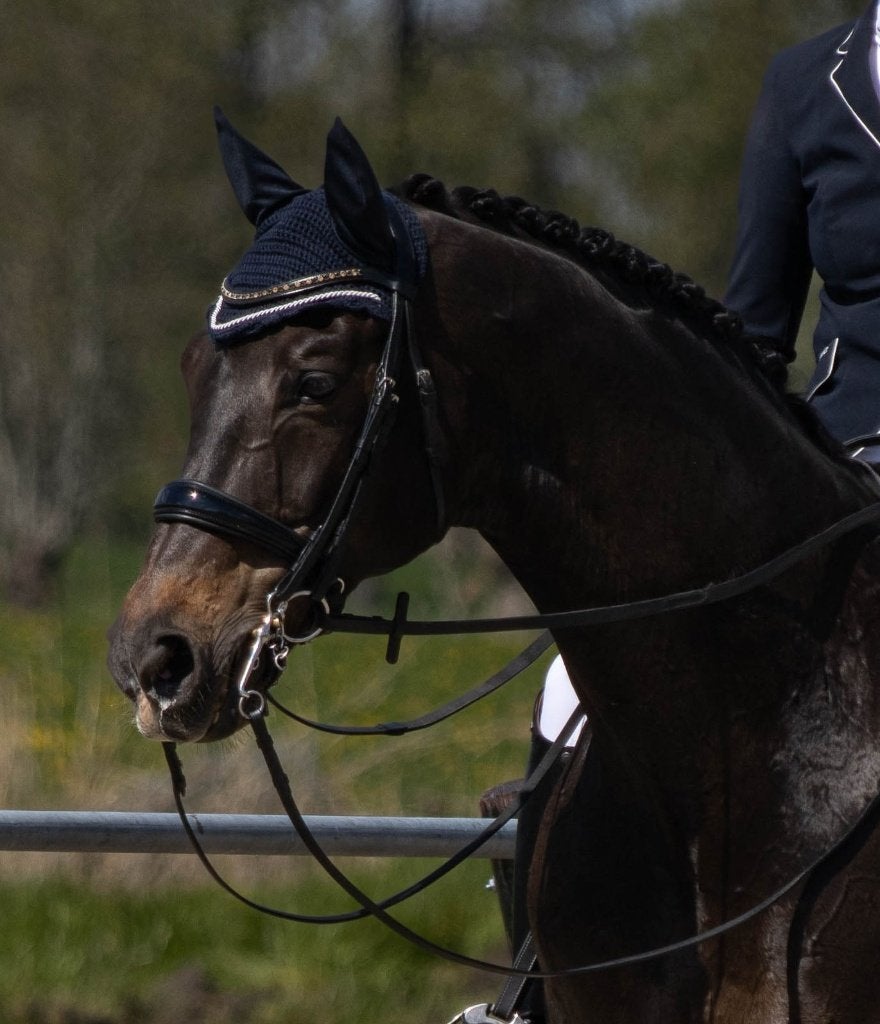 Stang en trens hoofdstel full met lakleren neusriem., Dieren en Toebehoren, Ophalen of Verzenden, Zwart, Anatomisch gevormd, Full