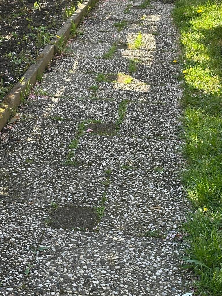 Grindtegels voor de tuin gratis zijn er al uit., Ophalen, Gebruikt, 10 m² of meer, Grind