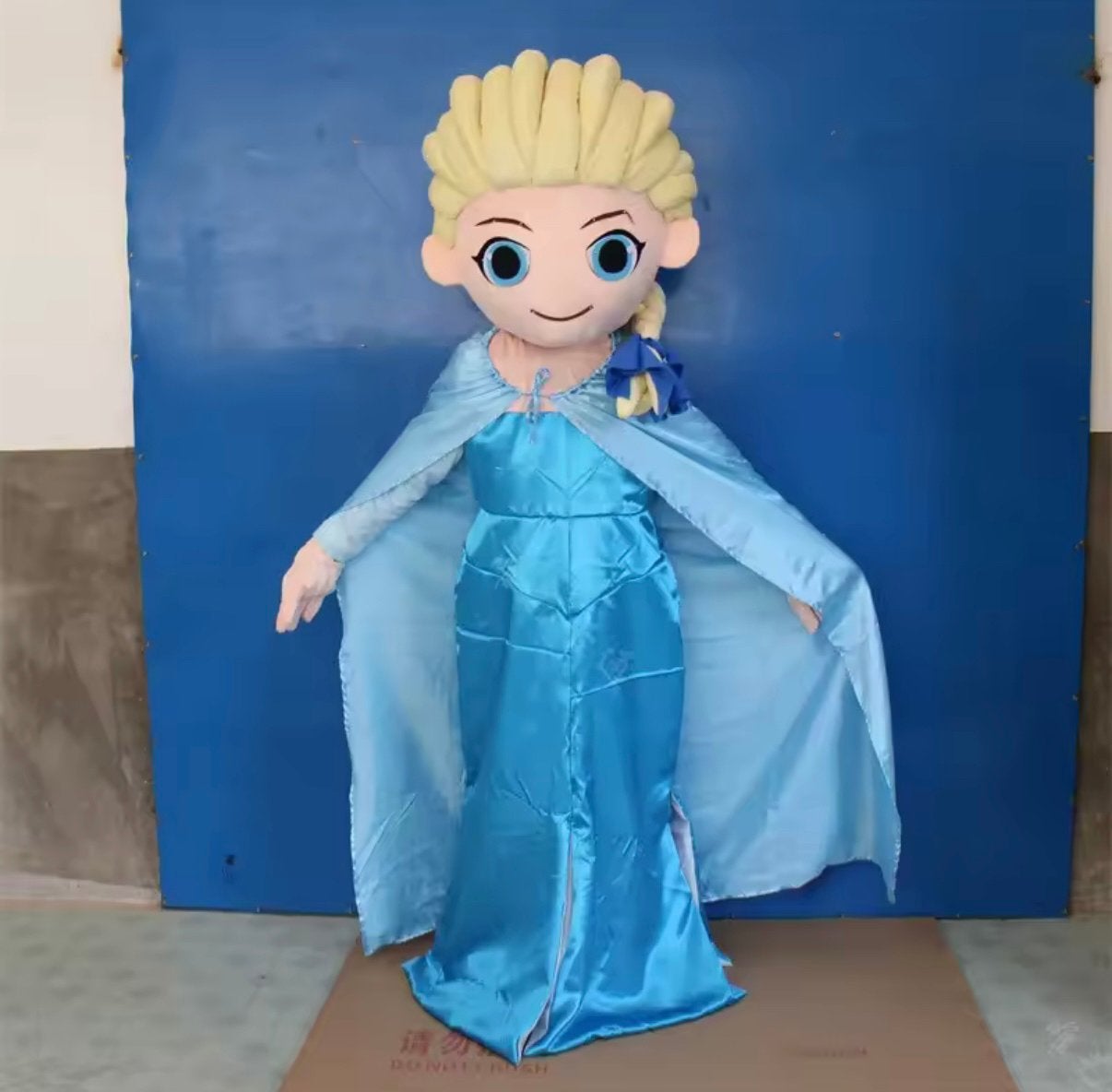 Prinses mascotte te huur, Eén persoon, Ticket of Toegangskaart