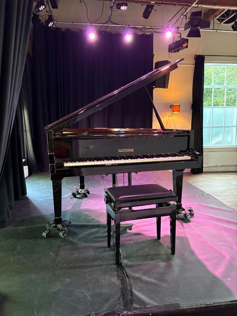 Gebruikte Blüthner-vleugel, Muziek en Instrumenten, Piano's, Ophalen, Gebruikt, Zwart, Vleugel