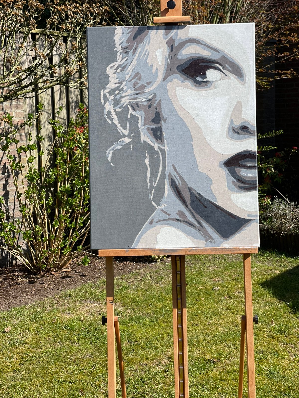 Schilderij taylor swift, Antiek en Kunst, Ophalen