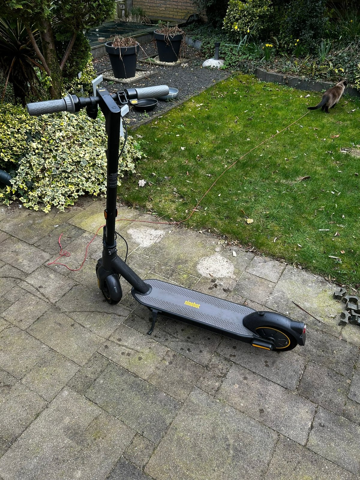 Segway Ninebot max G30E II kickscooter in topstaat, Fietsen en Brommers, Steps, Ophalen, Zo goed als nieuw, Elektrische step (E-scooter)