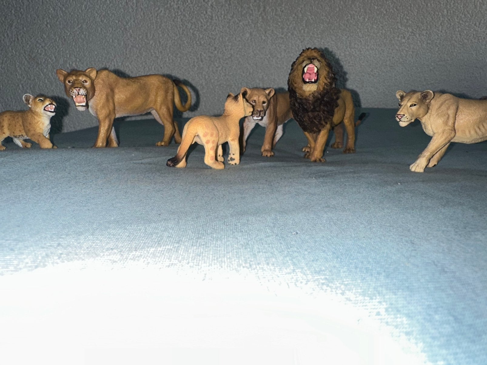 leeuwen familieset van het merk schleich,papo en Collecta, Ophalen of Verzenden, Zo goed als nieuw, Wild dier, Beeldje of Figuurtje