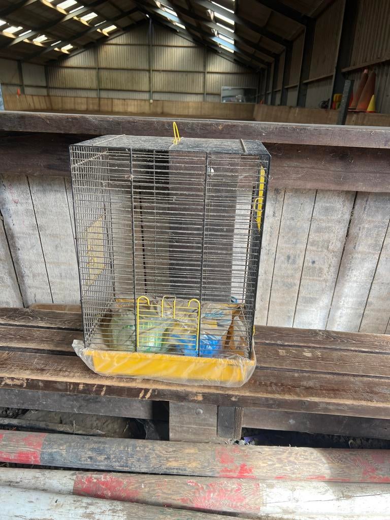Hamsterhok, Dieren en Toebehoren, Knaagdieren en Konijnen | Hokken en Kooien, Minder dan 75 cm, Zo goed als nieuw, Hok, Ophalen