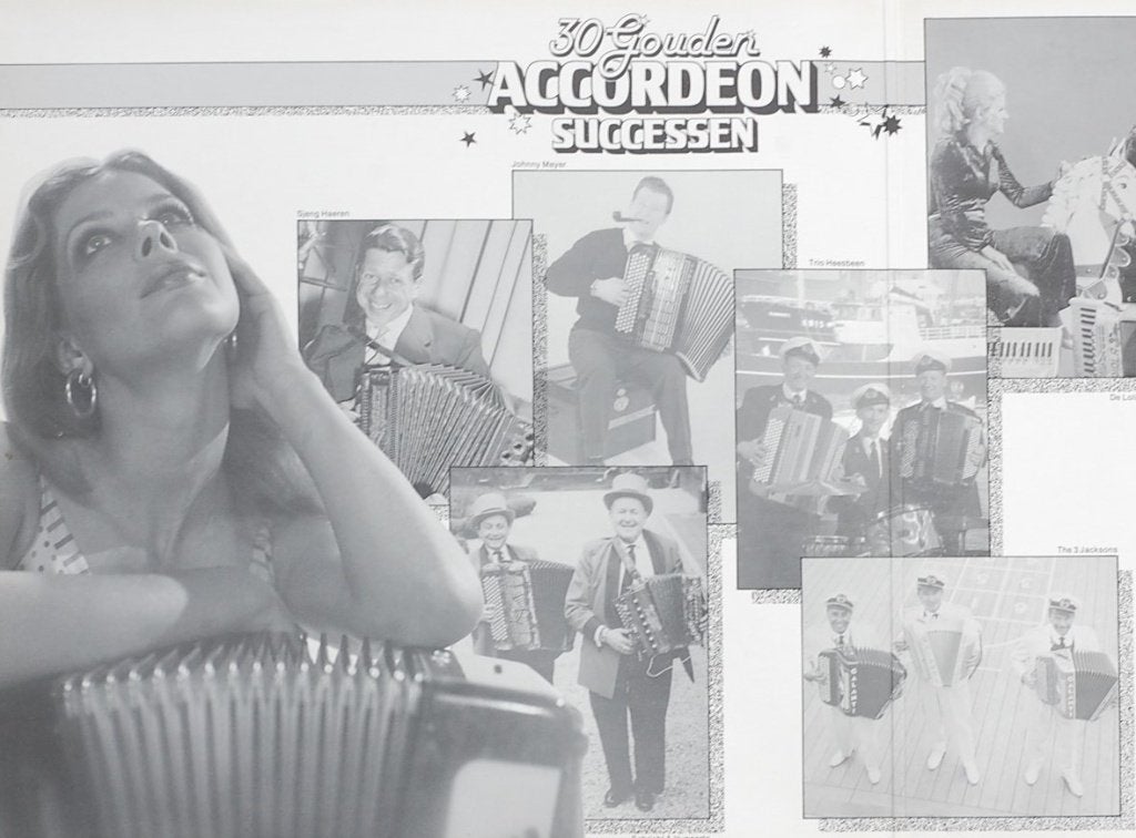 30 Gouden Accordeon Successen - Dubbelalbum LP, Verzenden, Schlager, Zo goed als nieuw, 12 inch