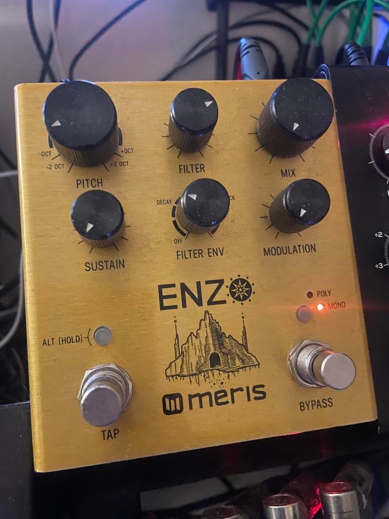 Meris Enzo Synth effect pedal, Muziek en Instrumenten, Ophalen of Verzenden, Zo goed als nieuw, Delay of Echo
