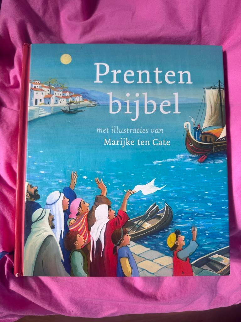 Prentenbijbel met illustraties van Marijke ten Cate, Boeken, Ophalen of Verzenden, Gelezen, Prentenboek