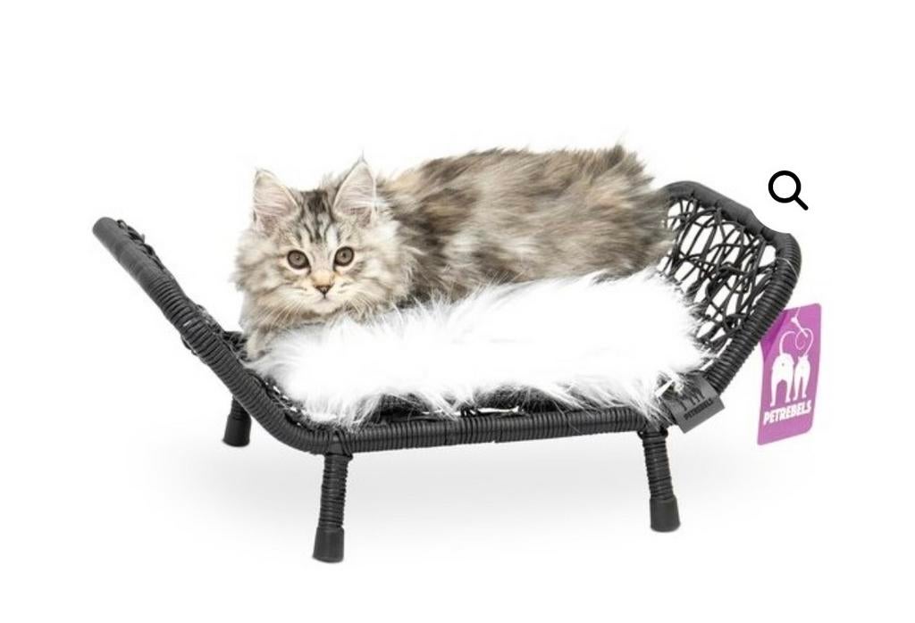 KATTENSOFA –, Onbekend, Nieuw, Ophalen of Verzenden, Onbekend
