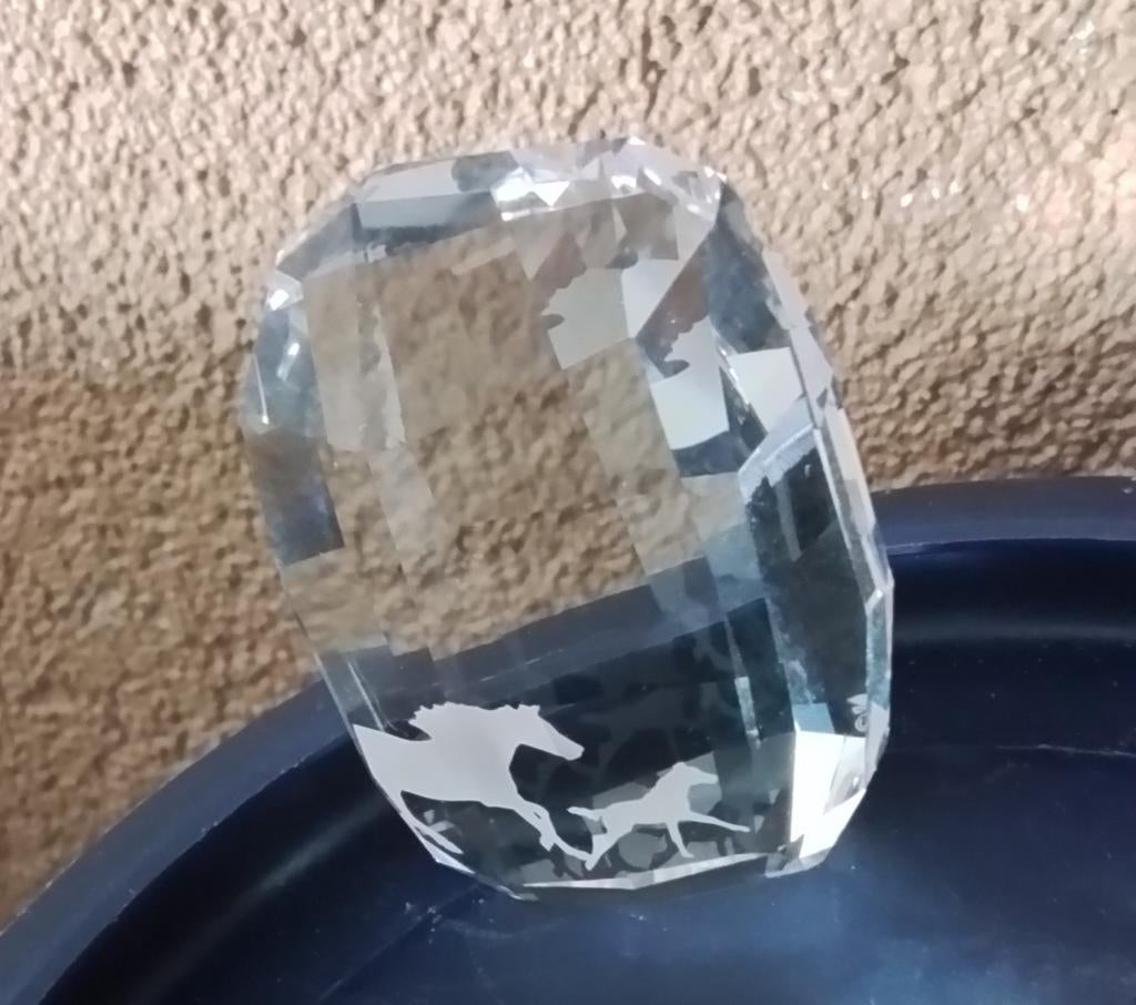 Swarovski paarden, Verzamelen, Ophalen of Verzenden, Zo goed als nieuw, Figuurtje