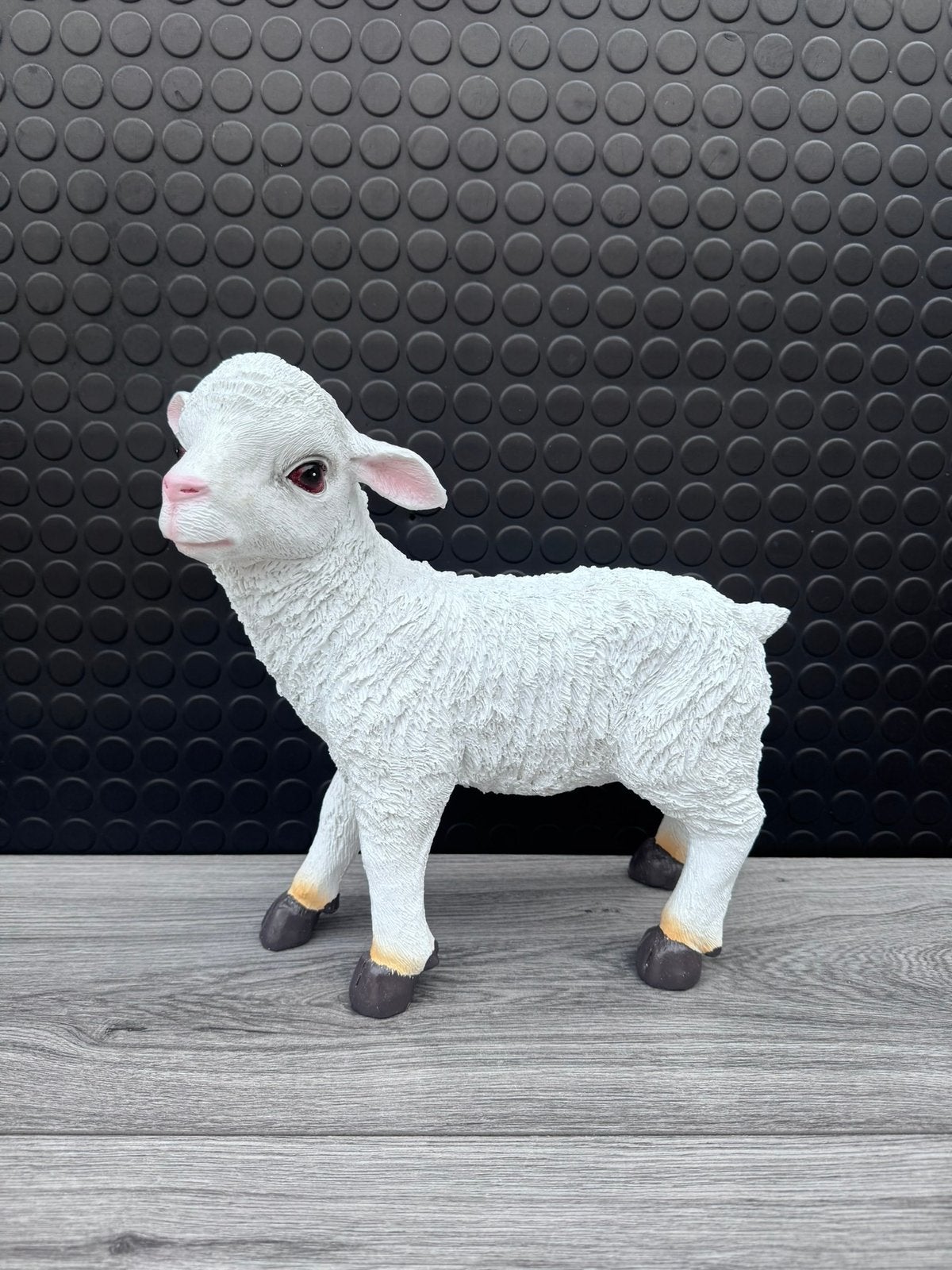 lammetje, Woondecoratie eindhoven, Nieuw, Ophalen of Verzenden, Woondecoratie eindhoven