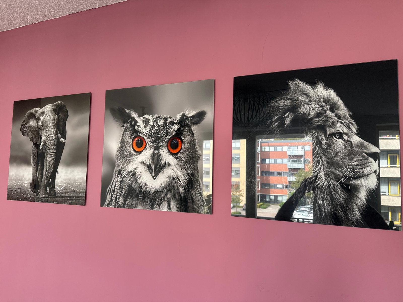 3 Glazen Schilderijen: Leeuw, Uil, Olifant - Zwart Wit, Ophalen, 50 – 75, Zo goed als nieuw, Schilderij